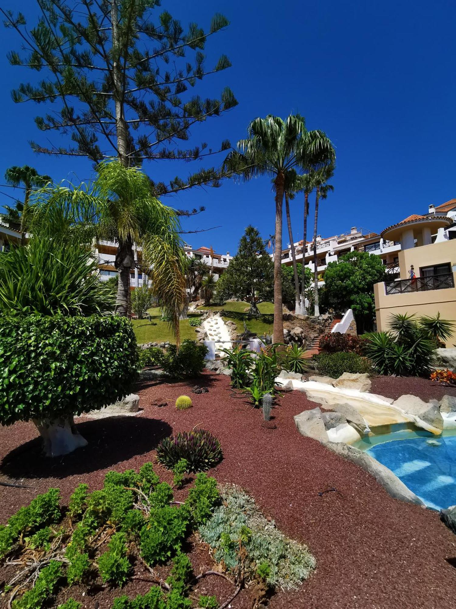 Strelitzia Apartment - Ocean View & Heated Pool Сан-Мігель-де-Абона Екстер'єр фото