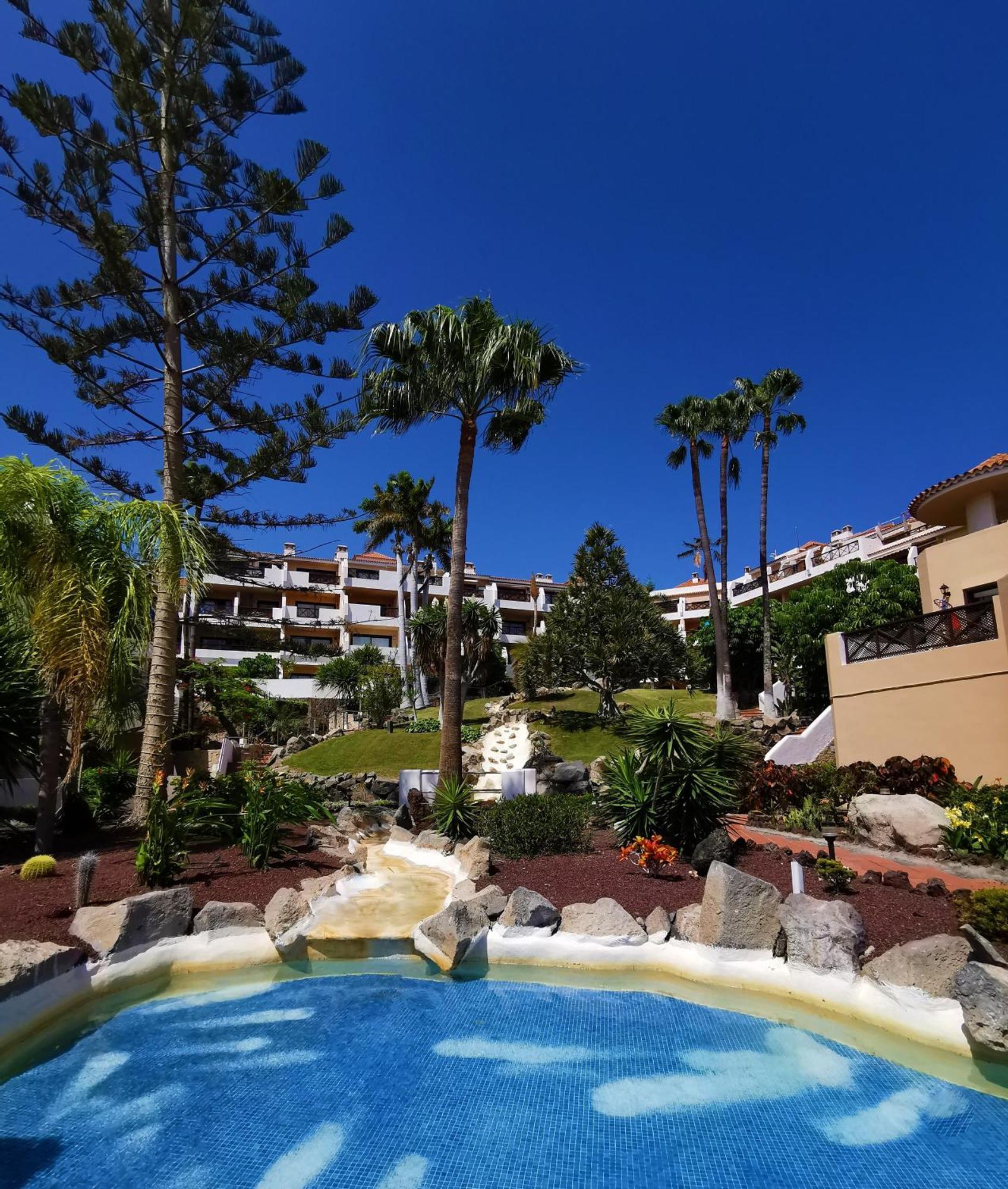 Strelitzia Apartment - Ocean View & Heated Pool Сан-Мігель-де-Абона Екстер'єр фото